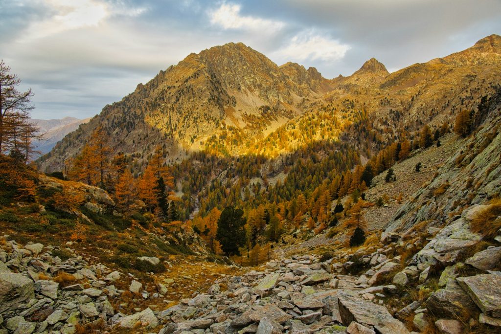 randonnées dans le parc du Mercantour : à la découverte des Alpes-Maritimes